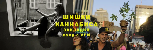 гидра Арсеньев