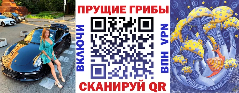 Купить где  Игра  Псилоцибиновые грибы Magic Shrooms 